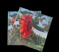 Wholesale custom acrylic wall deocoration UV printing sign BS-439 Wholesale custom acrylic wall deocoration UV printing sign