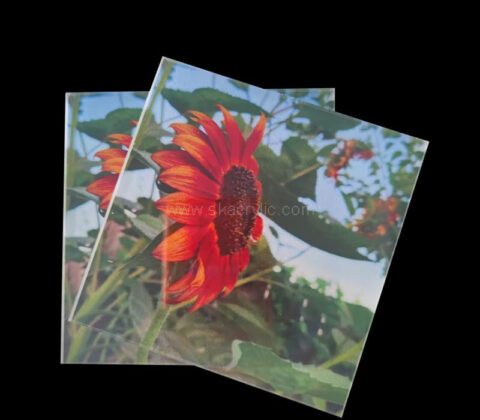 Wholesale custom acrylic wall deocoration UV printing sign