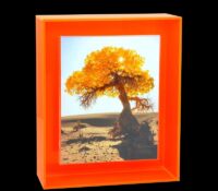 Custom acrylic wall floating 4 X 6 photo frame