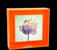 Custom acrylic 8 X 8 floating picture frame BS-474 Custom acrylic 8 X 8 floating picture frame