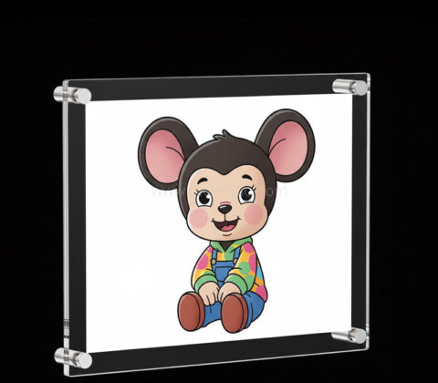 Custom acrylic floating galleries artwork frame