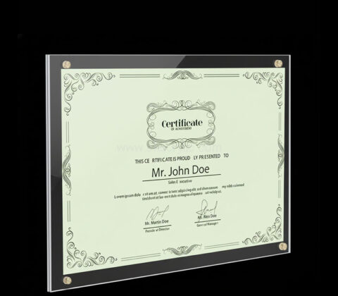 Custom acrylic hanging certificate frame