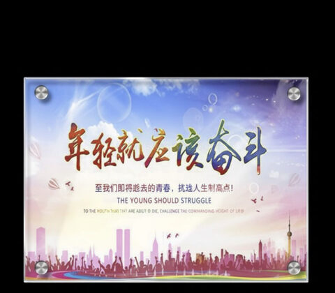 Custom acrylic wall hanging poster holder