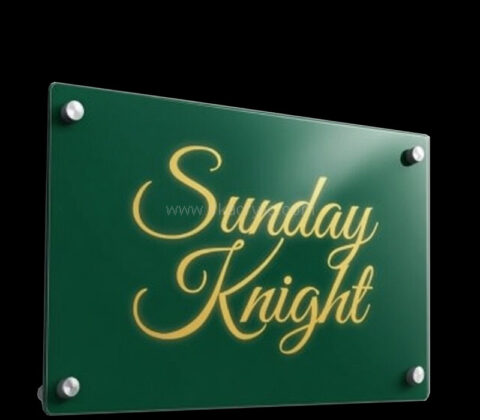 Custom acrylic wall standoff sign