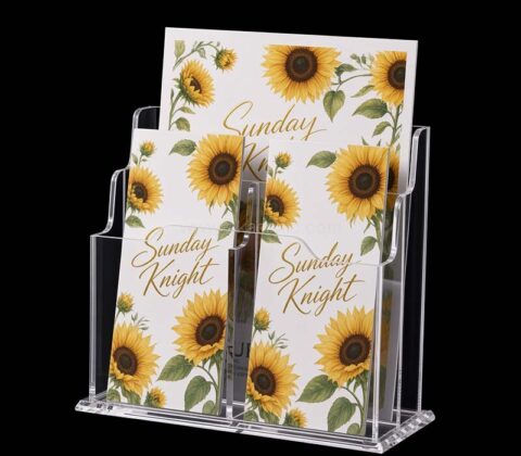 Custom acrylic 2 ties literature holders