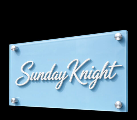 Custom acrylic wall company logo sign
